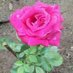Ramesh Ganji (@rameshg24734652) Twitter profile photo Ramesh Ganji (@rameshg24734652) Twitter profile photo