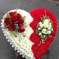 احلى ايام العمر عادي يا حبيبي (@aqtwh2ffzqy2di3) Twitter profile photo