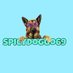 Toni Black (Spicydoggo) (@tonibla07118063) Twitter profile photo Toni Black (Spicydoggo) (@tonibla07118063) Twitter profile photo