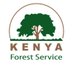 Kenya Forest Service Profile picture