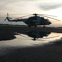 Piloto (@el_piloto20) 's Twitter Profile Photo Piloto (@el_piloto20) 's Twitter Profile Photo