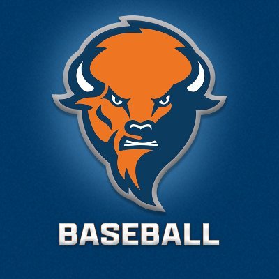 Official Twitter account of Bucknell University Baseball | NCAA Tournament appearances: '96, '01, '03, '08, '10, '14 | #rayBucknell | #GoBison