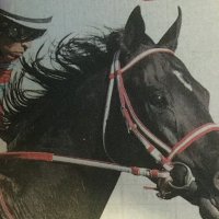 りょうパパ (@volvoxc60b5) 's Twitter Profile