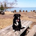 Lisa Sperling - @supshoresgirl - Twitter