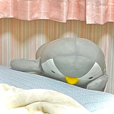 gomao0120_koto's profile picture. ZEN/無言フォロー大歓迎&無言フォロー失礼します