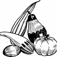 OSU Student Farm (@osustudentfarm) 's Twitter Profile