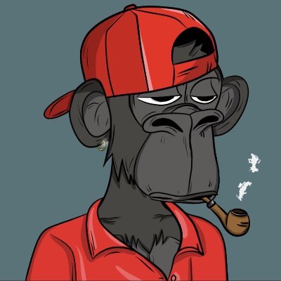 Alf_Ekiz's profile picture. *City Council Member* CryptoManiac. https://t.co/HT7kfSpoQp