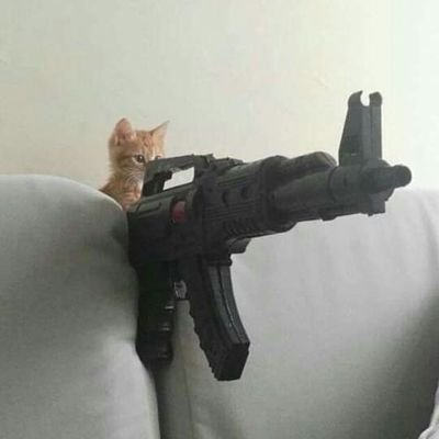 ‼️ME MUDEEさんのプロフィール画像