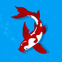 Graciela Juretich (@grajuretich) 's Twitter Profile Photo