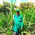 Hon BKimani Pakchong 1 (@hon_bkimani) Twitter profile photo Hon BKimani Pakchong 1 (@hon_bkimani) Twitter profile photo