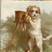 Doña Pepa de Guama (@donnadonnut) 's Twitter Profile Photo Doña Pepa de Guama (@donnadonnut) 's Twitter Profile Photo