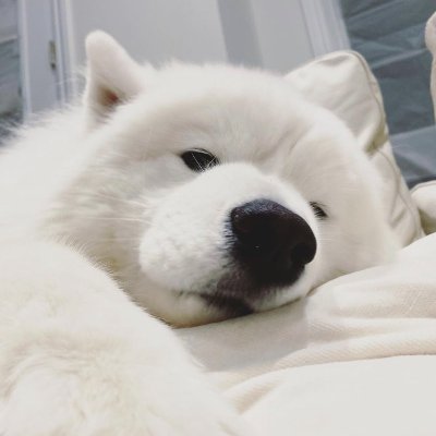 ɢᴀʀʟɪᴄʙʀᴇᴀᴅ 🧸🌹さんのプロフィール画像