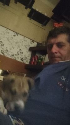 RbertBodrogi1's profile picture. 