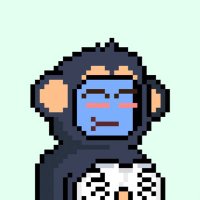 YoHoCrypto (@yohocrypto) 's Twitter Profile Photo