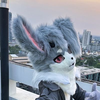 Hi~ I'm Guide👤 and fursuit name Geist🐰(🔞)
I can communicate in Thai🇹🇭 and English🇬🇧 which I am not very good at.