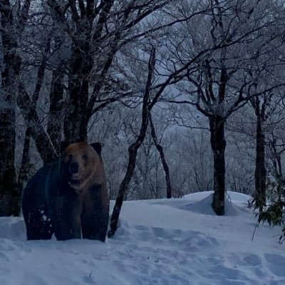 tatuma58's profile picture. 