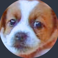 🍇lnuko🐾🍒 (@apckmbcqmufgbf) 's Twitter Profile Photo 🍇lnuko🐾🍒 (@apckmbcqmufgbf) 's Twitter Profile Photo