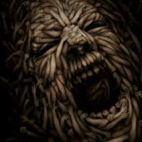 _shibumi_'s profile picture. 