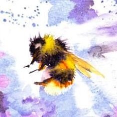 6 decades to embrace WASP-ness (100%) Over-educated Religious-Economist (apply Economic principles to the study of Religion) watercolorist, dogs rule