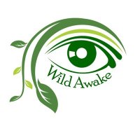 Wild Awake(@AmyLewi82574571) 's Twitter Profile Photo