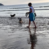Karen Nokes (@karenjnokes) 's Twitter Profile
