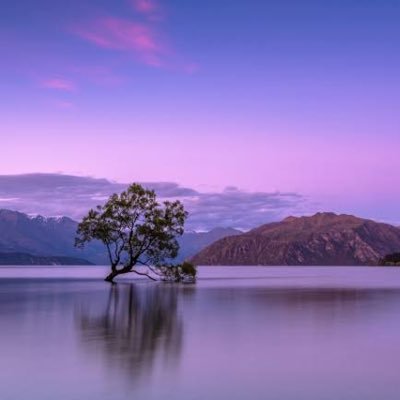 heglung1's profile picture. 