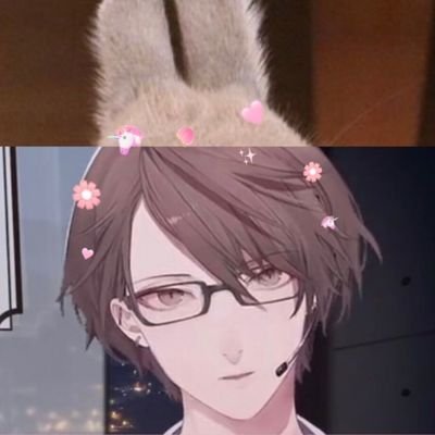 エビだんごさんのプロフィール画像