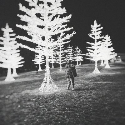 jakobcombs13's profile picture. he/she/they | eras nashville 05/07 | merch & vinyl collector