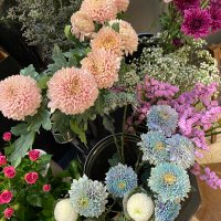 🌷💖🪞 (@yyourindaisy) 's Twitter Profile