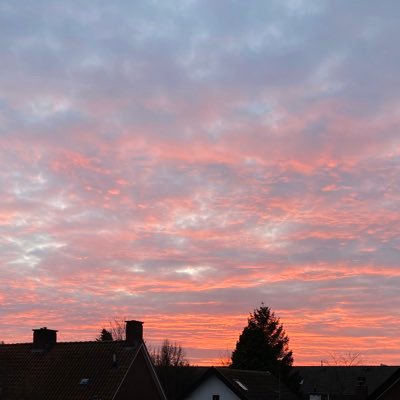 r_mineg's profile picture. 