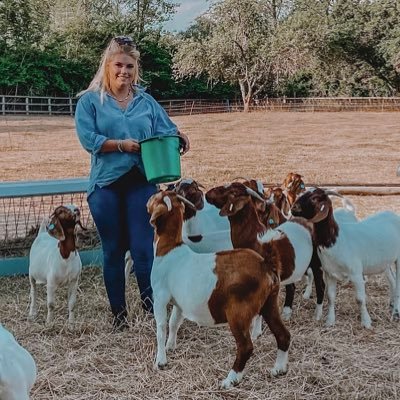 ❕New account, got locked out ❕ 24, Farmers Daughter 👩🏼‍🌾 RAU 19/20 📖 Family arable farm in Suffolk 🌾Blackbourn Boer Goats est. 2021 🐐