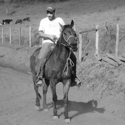 Sou cristão, de direita, amante dos cavalos, armamentista e patriota AVANTE BRASIL!