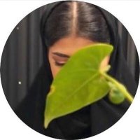 هندا (@handa_no) 's Twitter Profile