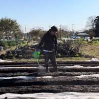 しうっちゃん (@shiuchicken) 's Twitter Profile Photo