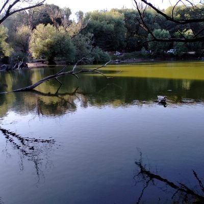 IImeryuz's profile picture. irem dalkıran