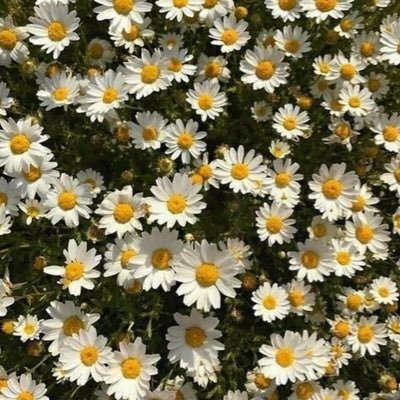 __h17a__'s profile picture. 