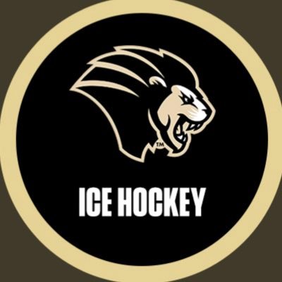 The OFFICIAL Twitter of Purdue University Northwest ACHA M1 Hockey | Est. 2019 | #roarpride 🦁