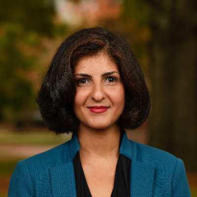 Gender and Politics scholar
Author of Women's Political Representation in Iran and Turkey: Demanding a Seat at the Table (EUP 2022-OA)