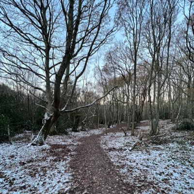 #EastSussex #woodland #photography 📷 #everyoneneedsnature 🌳🌲🌿🧚‍♀️🌱🌲🌳 (all photography is my own unless otherwise stated ) 🙂