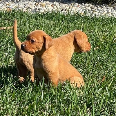 Johnnytuna_1's profile picture. 🇺🇸☮️