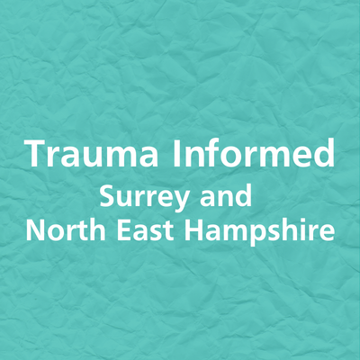 A coproduced service empowering individuals & organisations to become trauma informed, through: training, consultation, and a local framework.