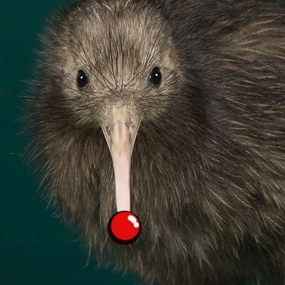 tulpamantic's profile picture. 23