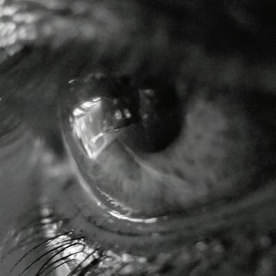lill_schee's profile picture. Er kreativ og leken