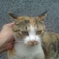 高橋Ｒ（空き家専門吏） (@takahashir1989) 's Twitter Profile