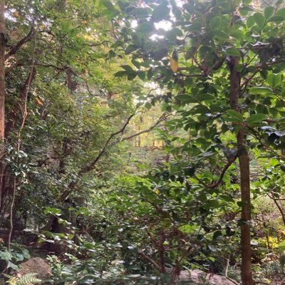 maki_maki_46's profile picture. 秋学期の目標：マッスルボディー