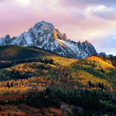 damianamigos's profile picture. ..