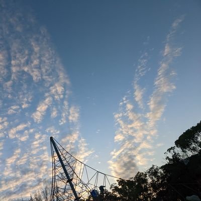 tkmauiさんのプロフィール画像
