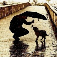 Sari Macejkovic (Ø,G) (@smacejkovic73) 's Twitter Profile