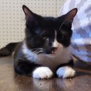 janice lindgren - @janicelindgren7 - Twitter