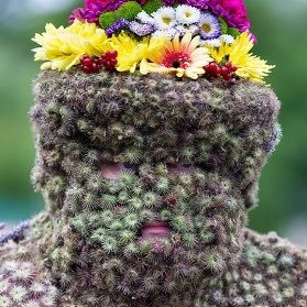 BuildAndGr0w's profile picture. I have a cunning plan